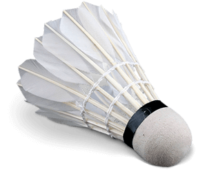 volante badminton